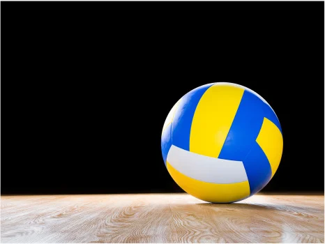 Volleyball – Bild aus dem Vereinsauftritt